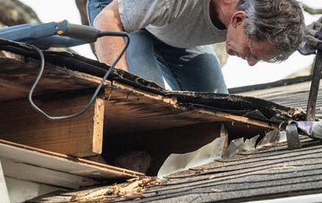 common causes of Norton Ash fascia damage